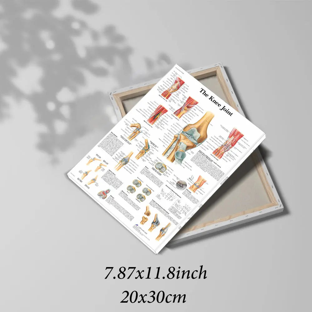 https://img.kwcdn.com/product/open/1af3f64a36bf4eaa93cd6c440ac6da73-goods.jpeg