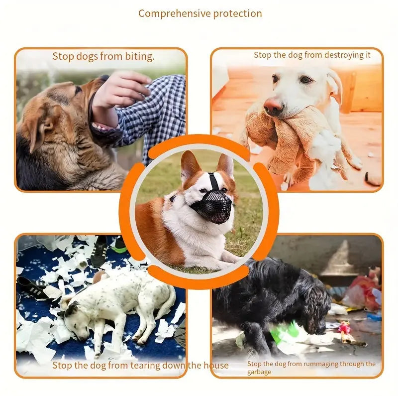 https://img.kwcdn.com/product/fancy/343ceb9e-e05e-4f3a-83c1-d81a1242a31e.jpg