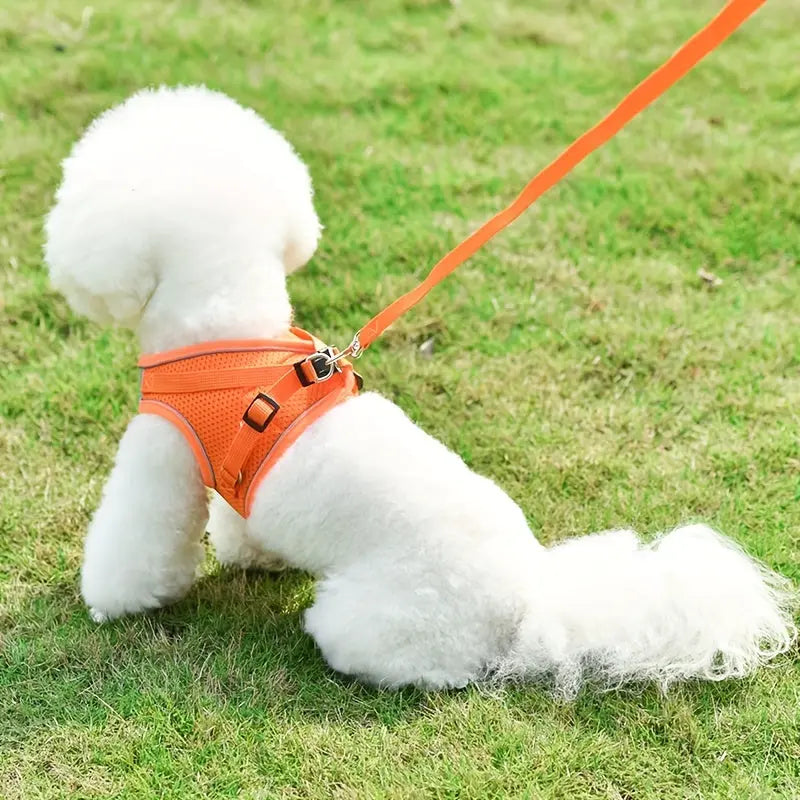 https://img.kwcdn.com/product/Fancyalgo/VirtualModelMatting/43fc02875f29703881dc54e03f715979.jpg