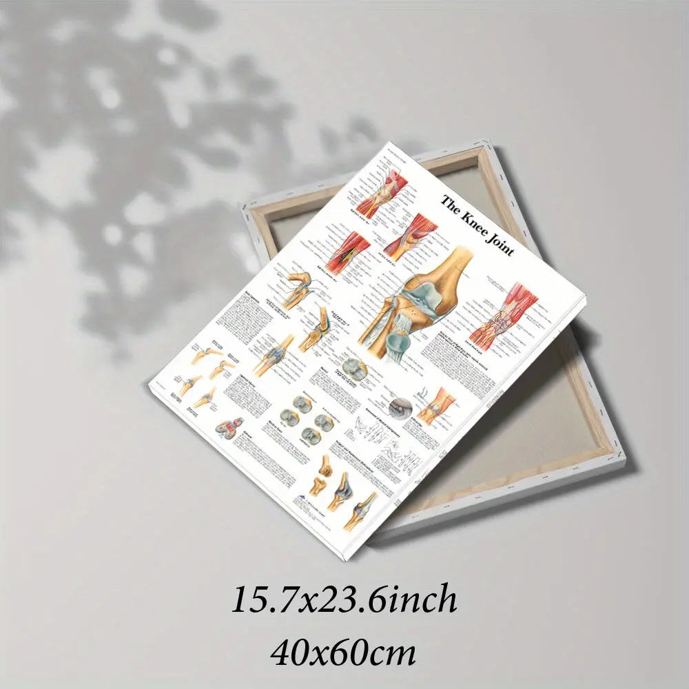 https://img.kwcdn.com/product/open/657e7213a76640a59d7395849a071074-goods.jpeg