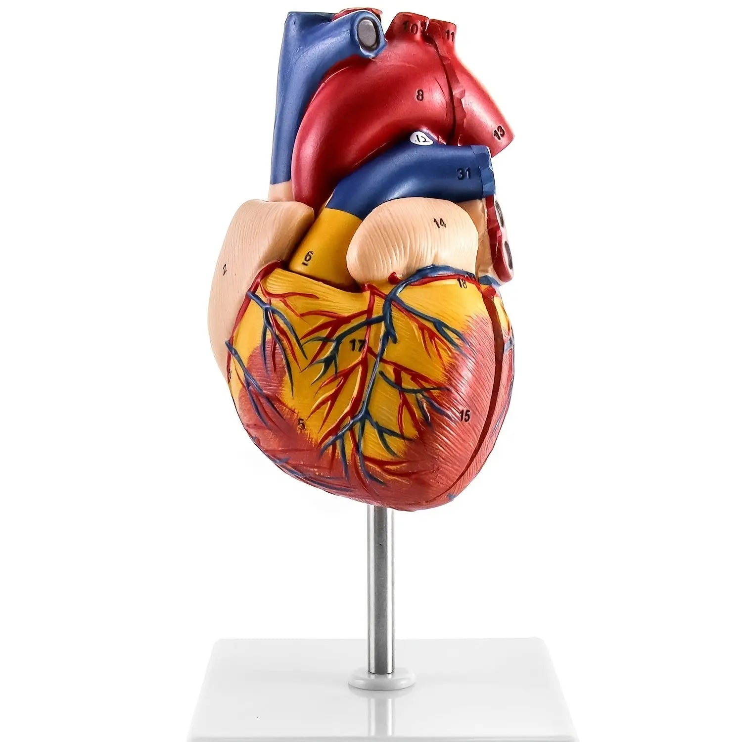 https://img.kwcdn.com/product/open/7e7fe8857c0e401aa7682a9e9d39aa4c-goods.jpeg