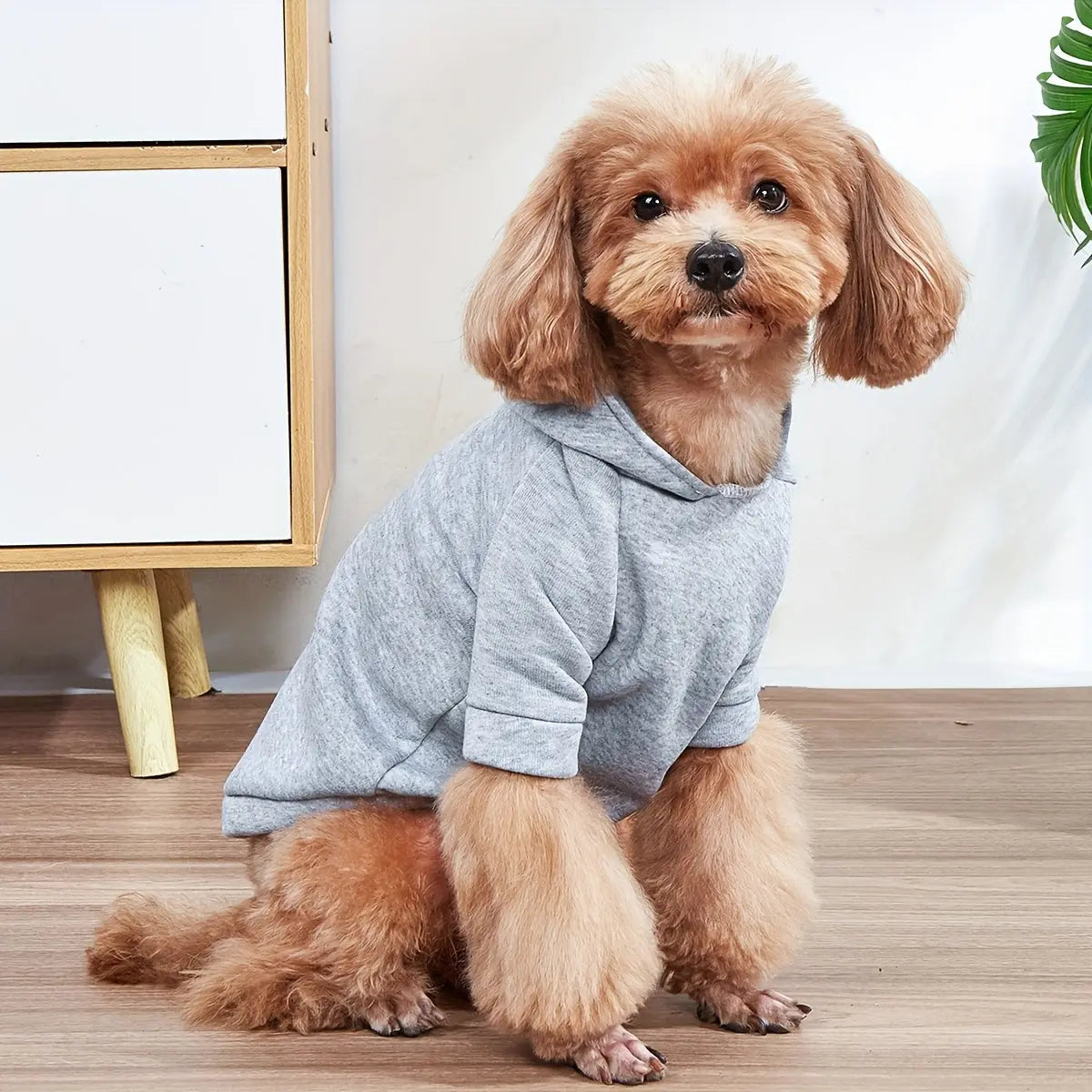 https://img.kwcdn.com/product/fancy/8432a507-a887-485e-8152-d99682b716fc.jpg