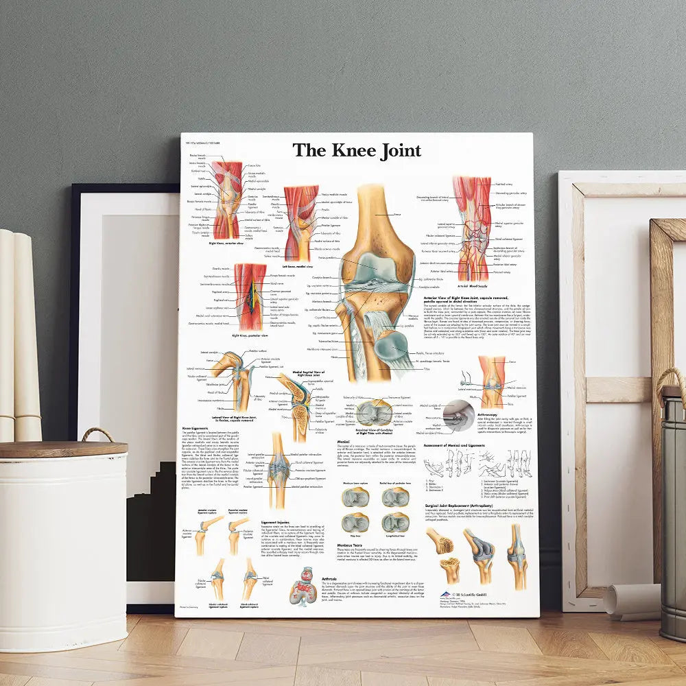 https://img.kwcdn.com/product/open/8f95a46325584320a2050397d99e2b08-goods.jpeg