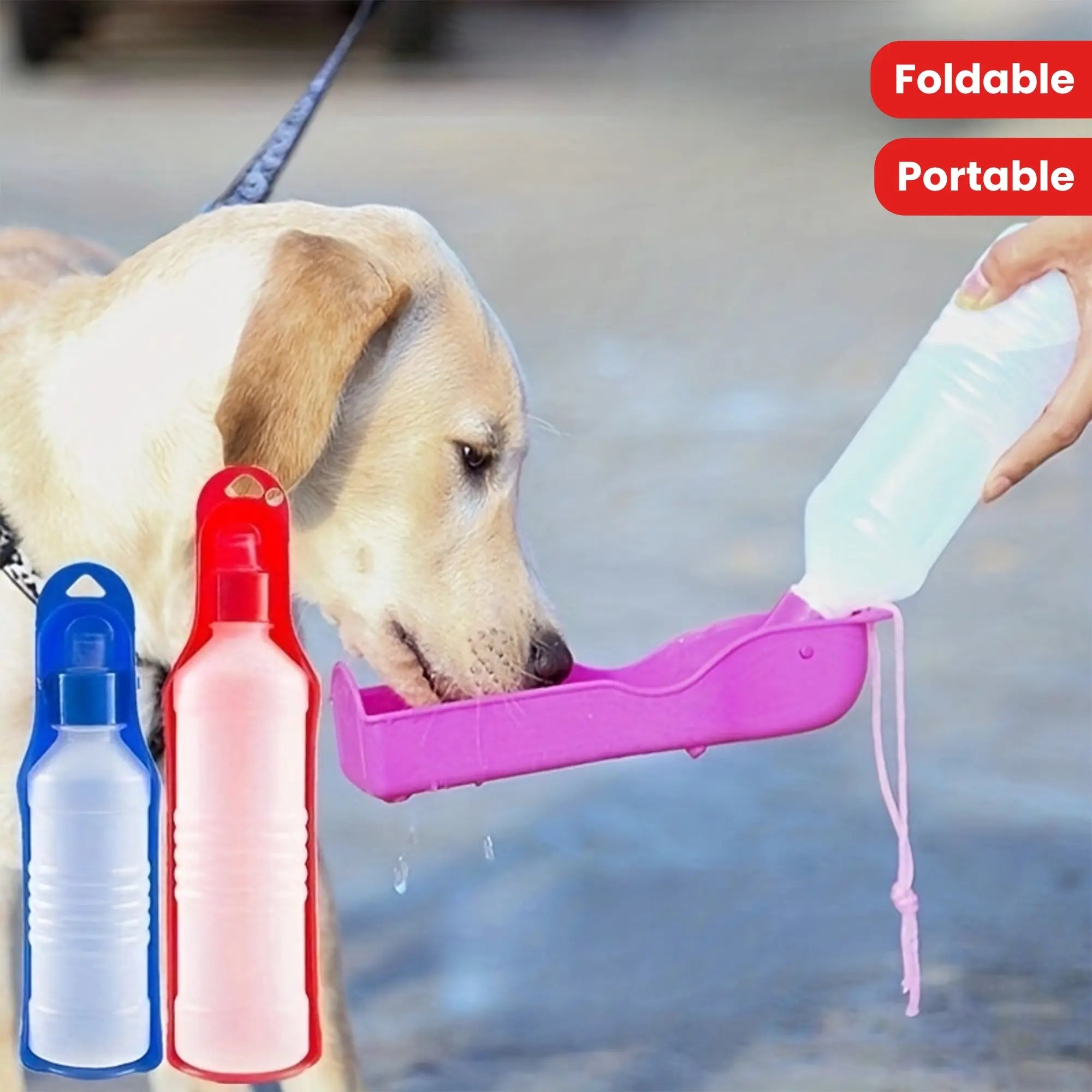 https://img.kwcdn.com/product/fancy/market/981b50f2a400af142d10e0d30c5846d5_eewuGeYU5XOD5.jpg