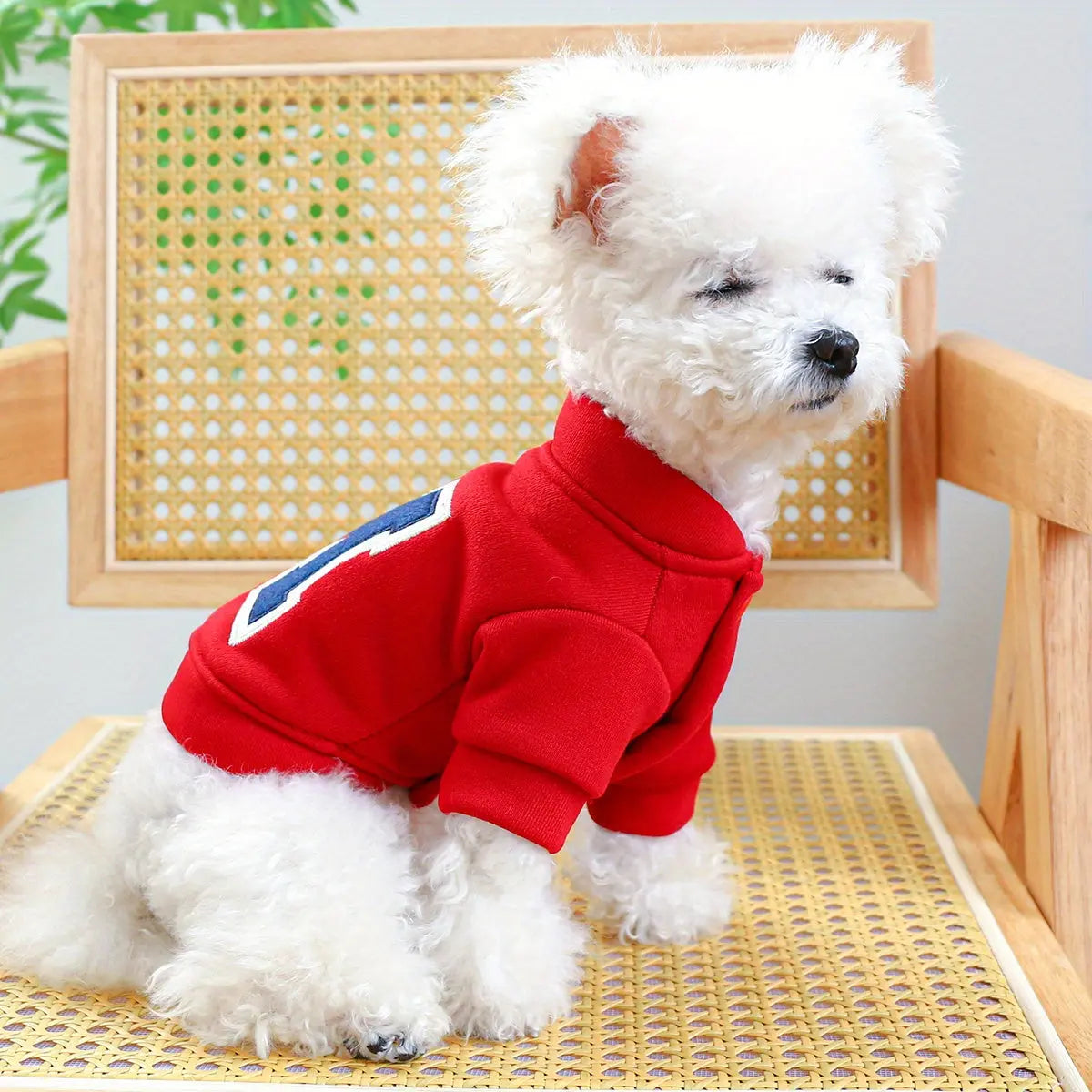 https://img.kwcdn.com/product/1e19d460000/9b06417b-e91c-4ddd-a0cb-2310f57e3ec8_1200x1200.jpeg