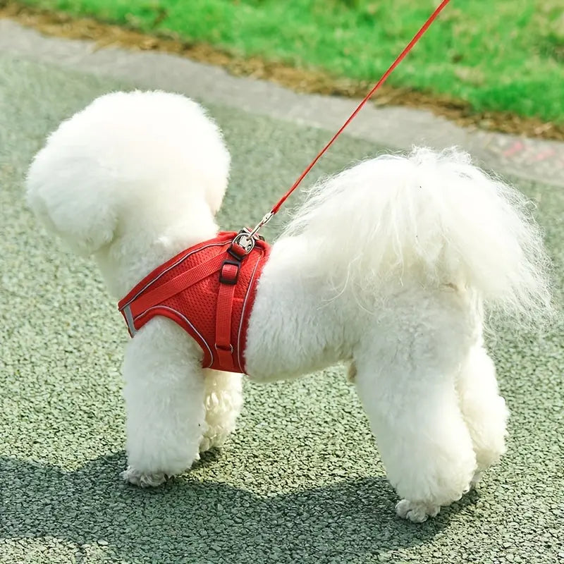 https://img.kwcdn.com/product/Fancyalgo/VirtualModelMatting/d56af05f0d6c4b91c2a4f35c1ebd0c46.jpg