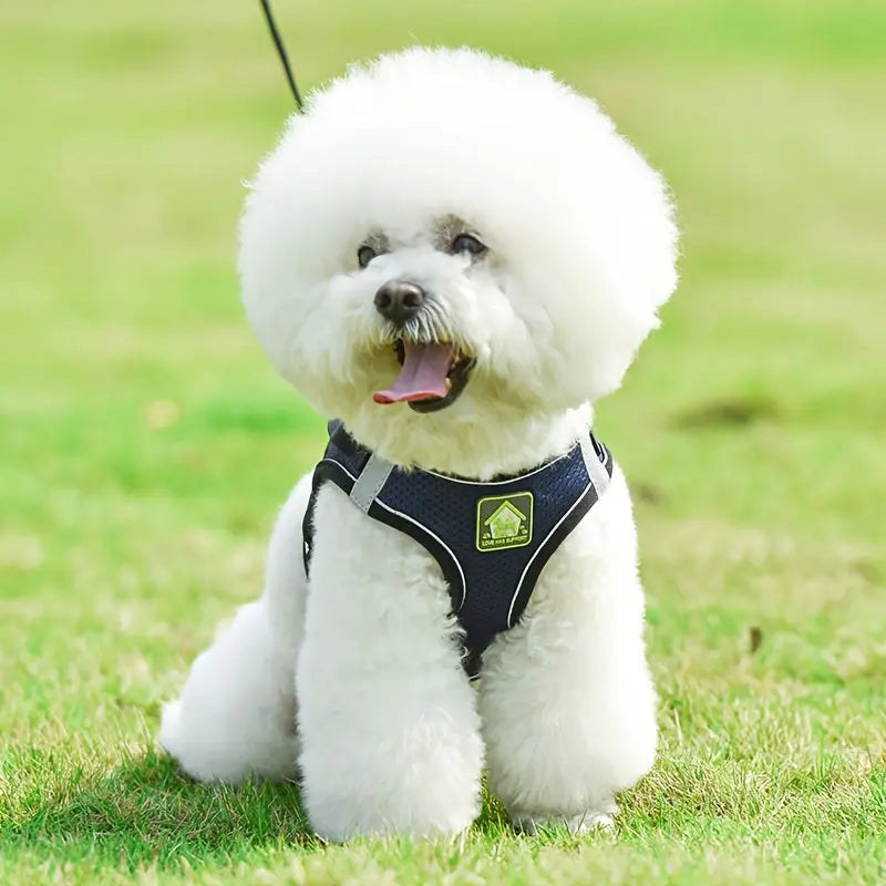 https://img.kwcdn.com/product/Fancyalgo/VirtualModelMatting/d60e05497d48e08753dd8138accdb933.jpg