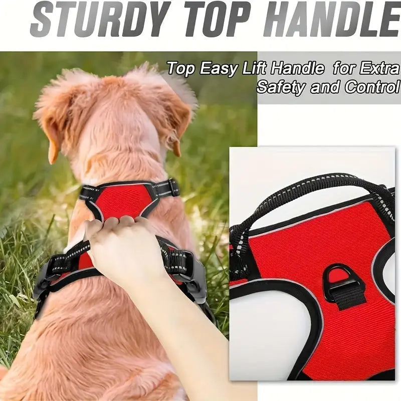 https://img.kwcdn.com/product/fancy/d8db4bce-09de-4f67-bd09-af490dc253de.jpg
