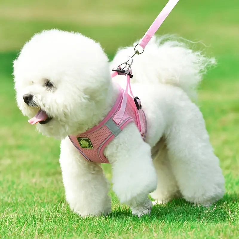 https://img.kwcdn.com/product/Fancyalgo/VirtualModelMatting/db6b5a3b6f9c4d1121395de9d593deaa.jpg