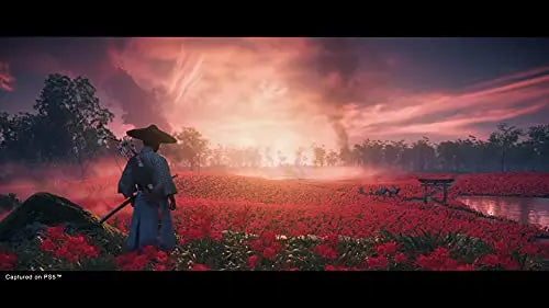 Ghost of Tsushima Director's Cut PS5 | Videojuego Original de Playstation Sony Intereactive Entertainment - Configurable en Japonés, Español, Portugués o Inglés - La zona Apple