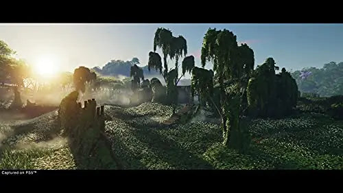 Ghost of Tsushima Director's Cut PS5 | Videojuego Original de Playstation Sony Intereactive Entertainment - Configurable en Japonés, Español, Portugués o Inglés - La zona Apple