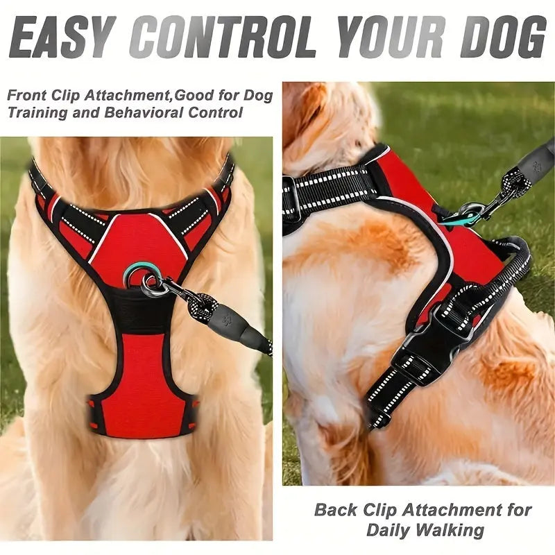 https://img.kwcdn.com/product/fancy/07a47e5e-b6da-4730-bee6-b29a5c1d0b86.jpg