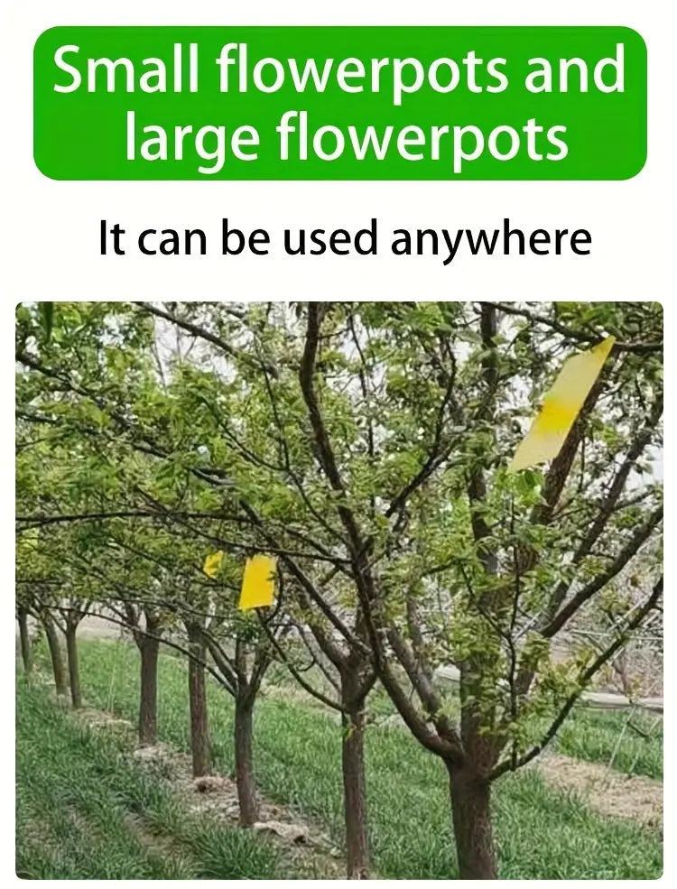 https://img.kwcdn.com/product/fancy/0803a1f4-28d3-401a-adde-39a28fd61214.jpg