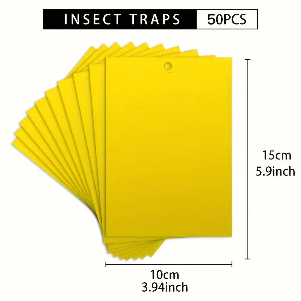 https://img.kwcdn.com/product/fancy/09f7dbc0-8ff9-49ec-bda9-40de56204e7c.jpg