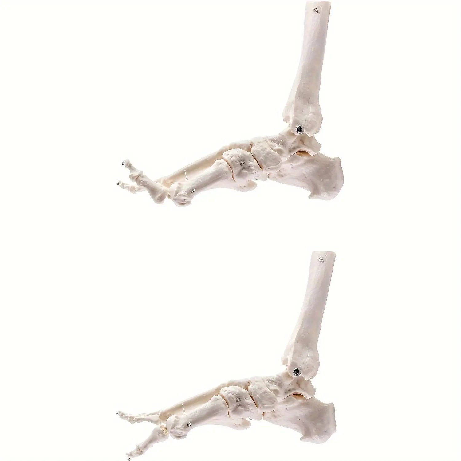 https://img.kwcdn.com/product/fancy/0d846d55-08ee-4d58-84a1-8a0b2ceec967.jpg