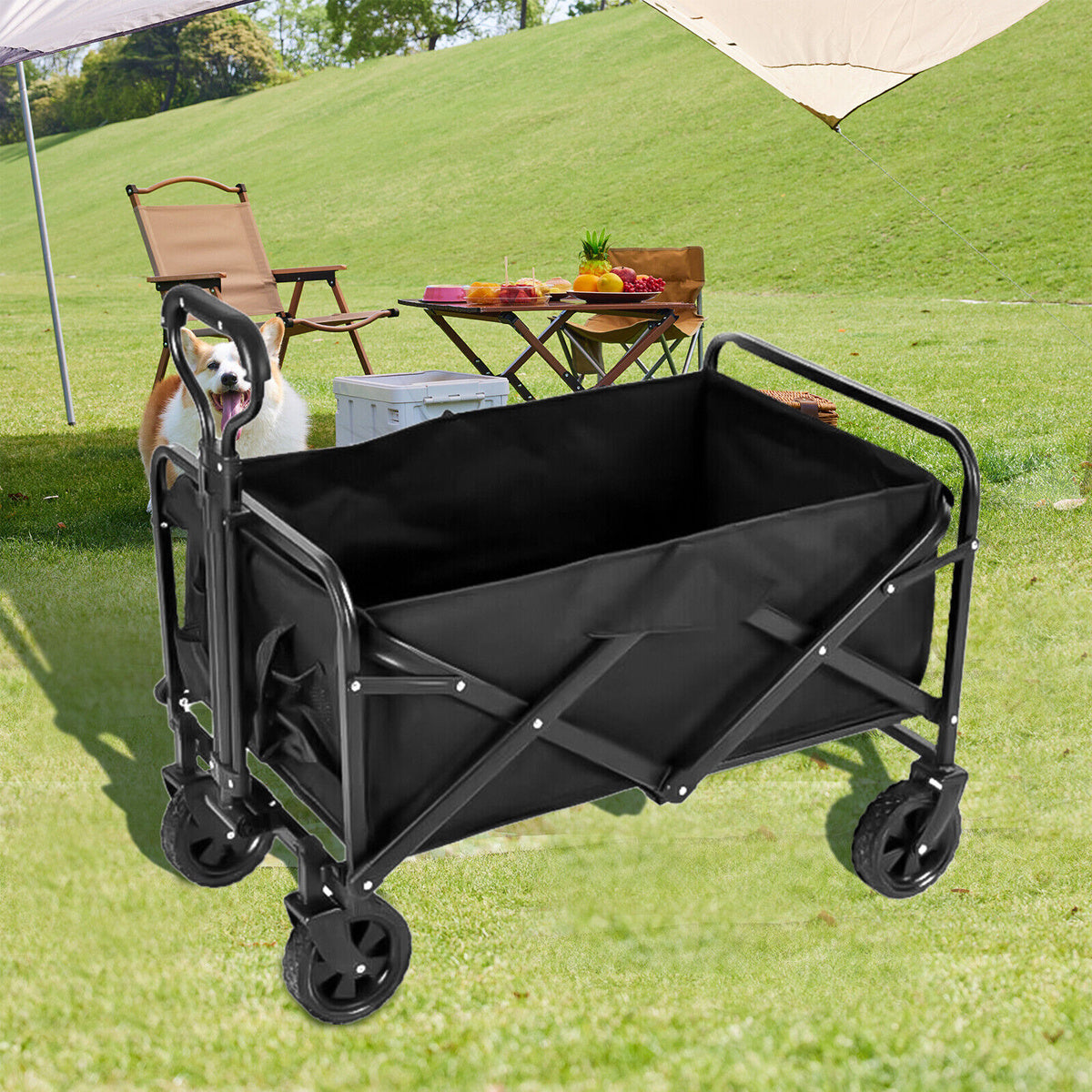 https://img.kwcdn.com/product/open/156763681dca410a80fd50fcdb8ab277-goods.jpeg