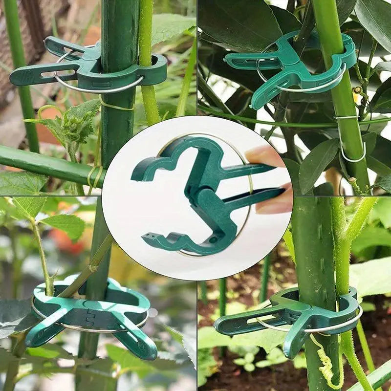 https://img.kwcdn.com/product/aisc_image/fancy/2024-04-23/1713672666289-93367071d9f04d0dacb8f10288abbe59-goods_1713843522.jpg