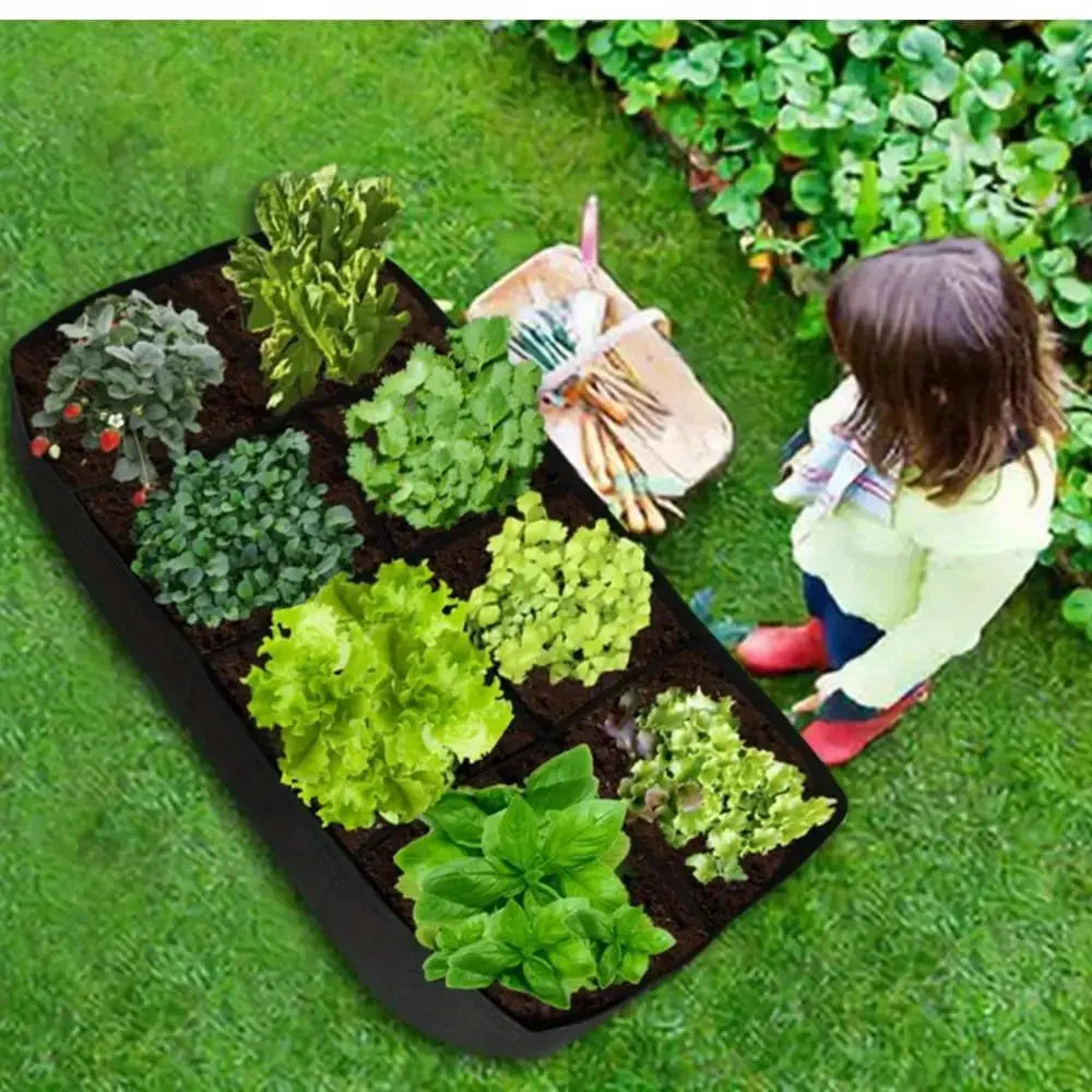 https://img.kwcdn.com/product/open/2024-04-27/1714206790462-63b163ed1b0c4a26bfe260821d0a2478-goods.jpeg