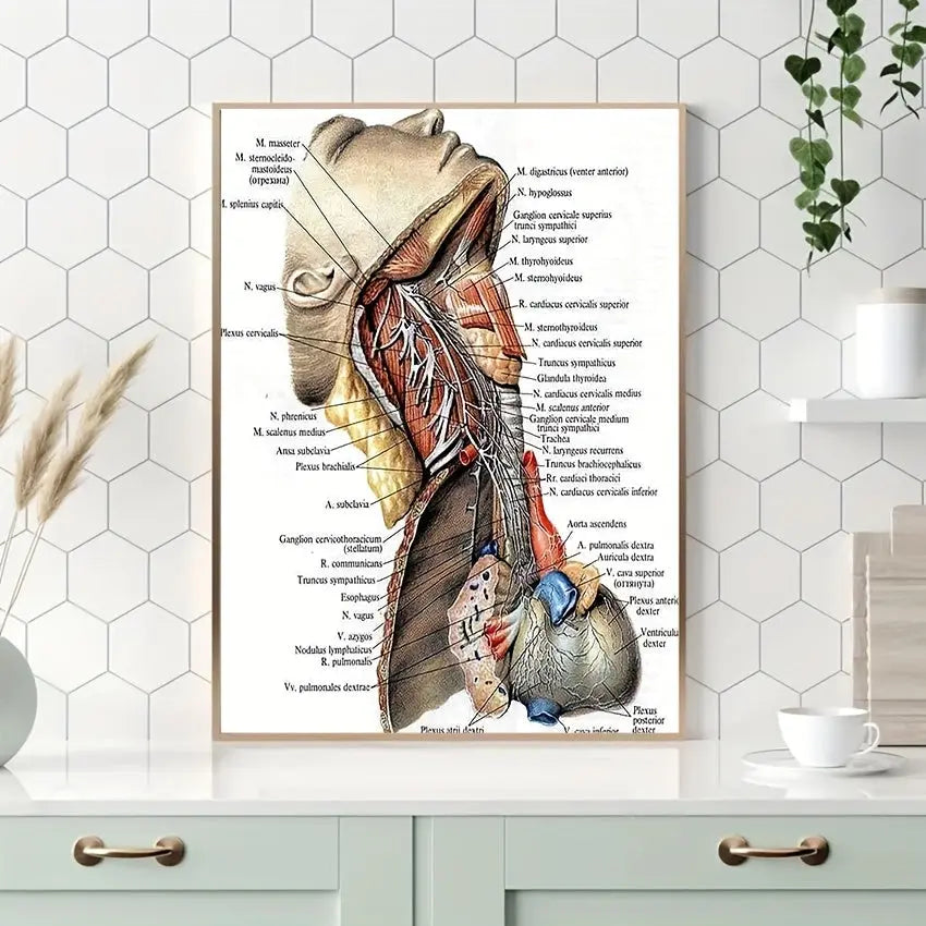 https://img.kwcdn.com/product/fancy/19f18cbb-ef2c-4cd6-9747-efdb2a3cf6ac.jpg