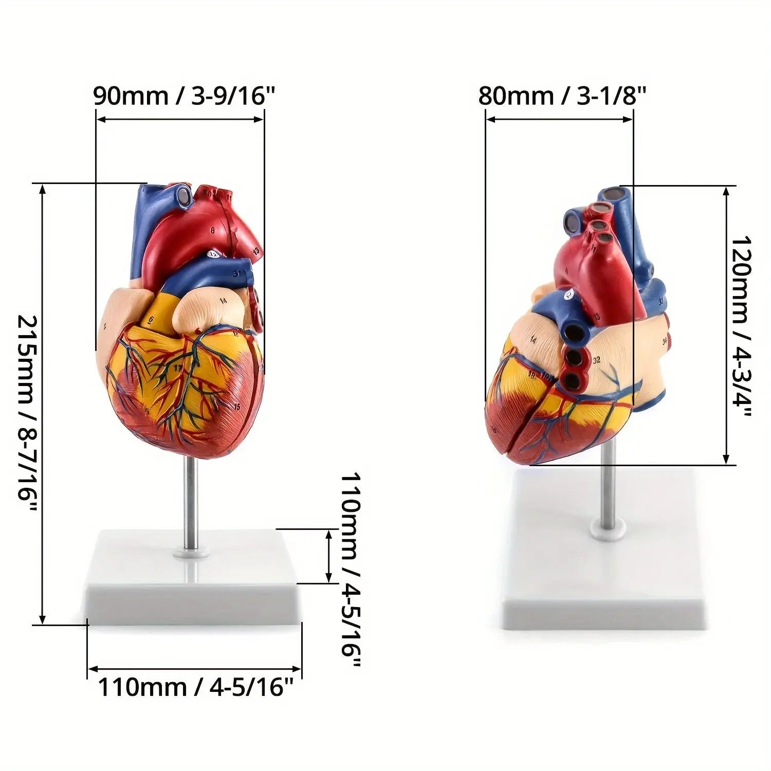 https://img.kwcdn.com/product/open/21460c435cdb49fabc983cbc76b263b7-goods.jpeg