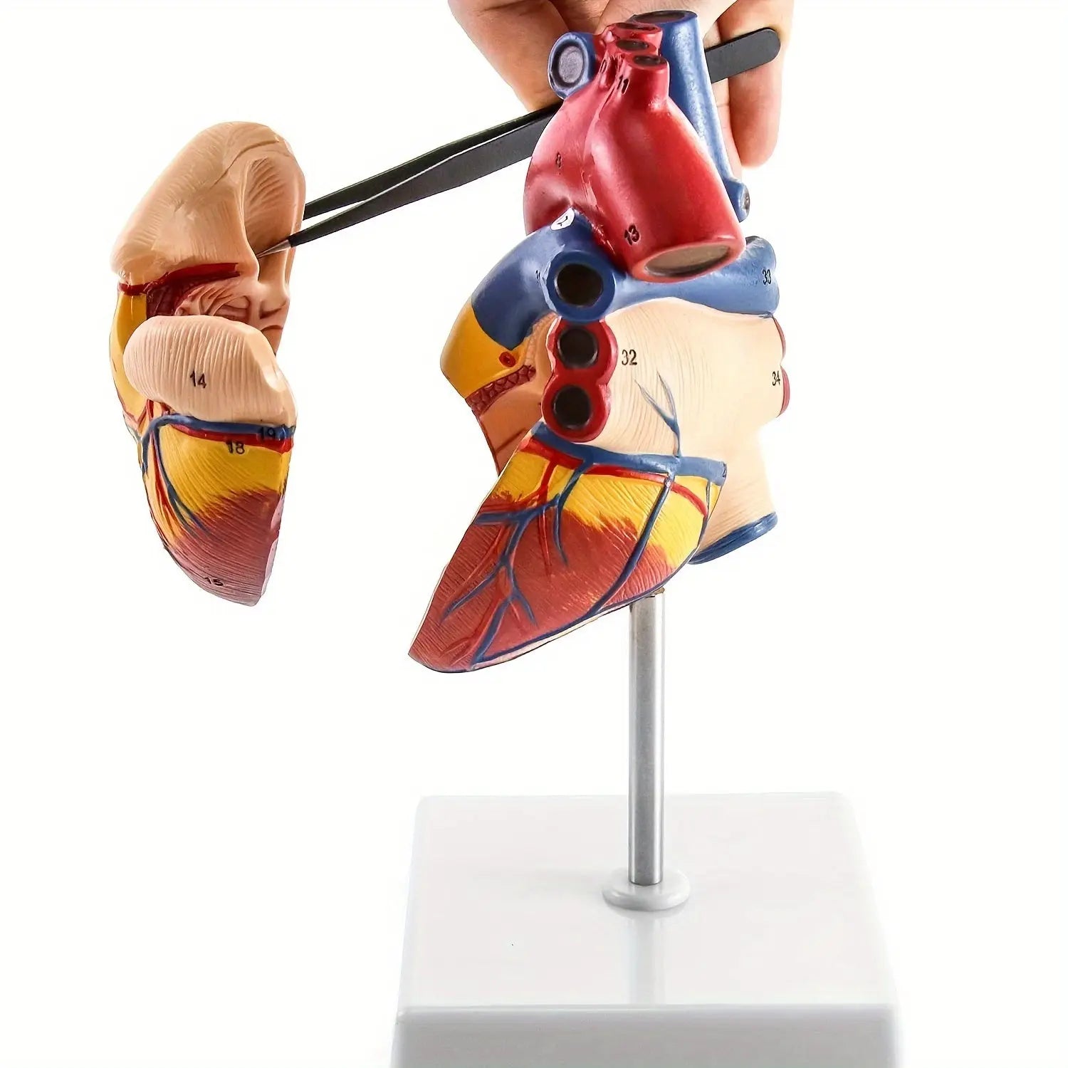 https://img.kwcdn.com/product/open/30e798fd19cb4049be6f8a3f74bb410a-goods.jpeg