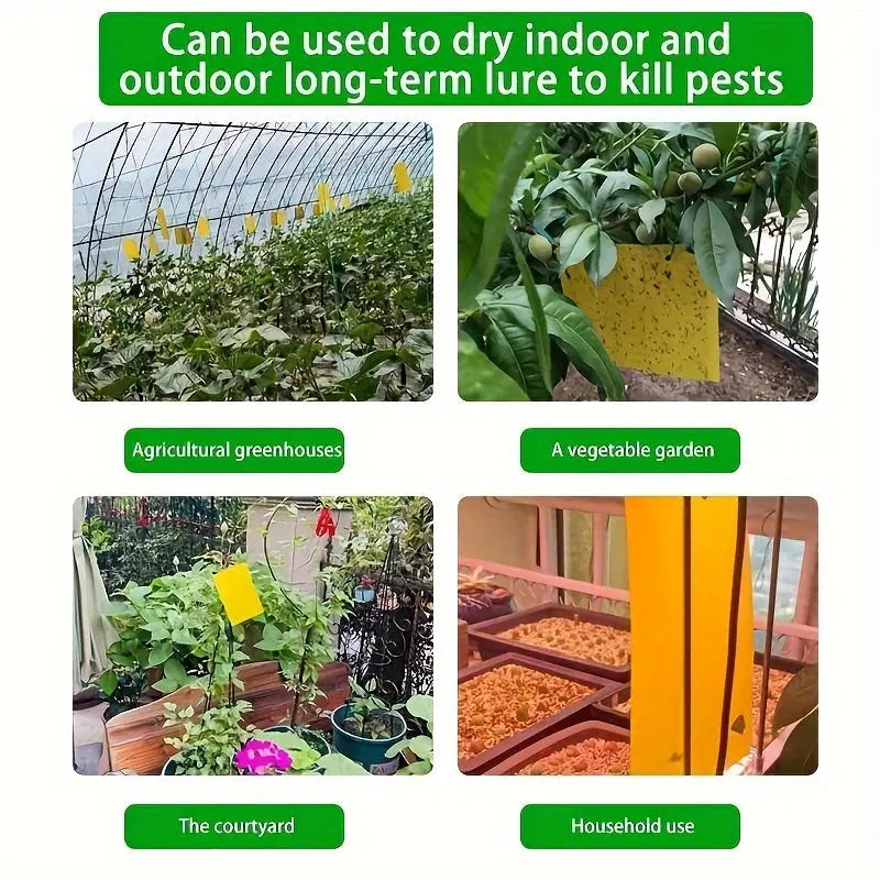 https://img.kwcdn.com/product/fancy/32cc8efb-4bcd-4445-ad56-54794457864a.jpg