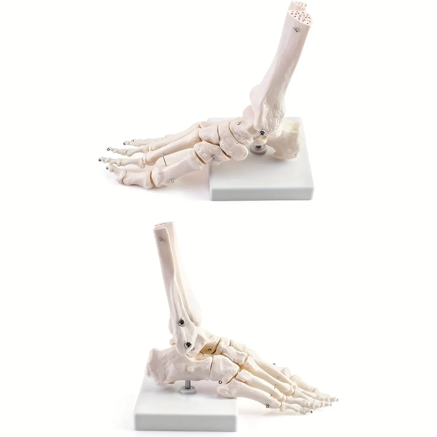 https://img.kwcdn.com/product/fancy/3de9e502-741d-4b70-8333-2a7623f82b57.jpg