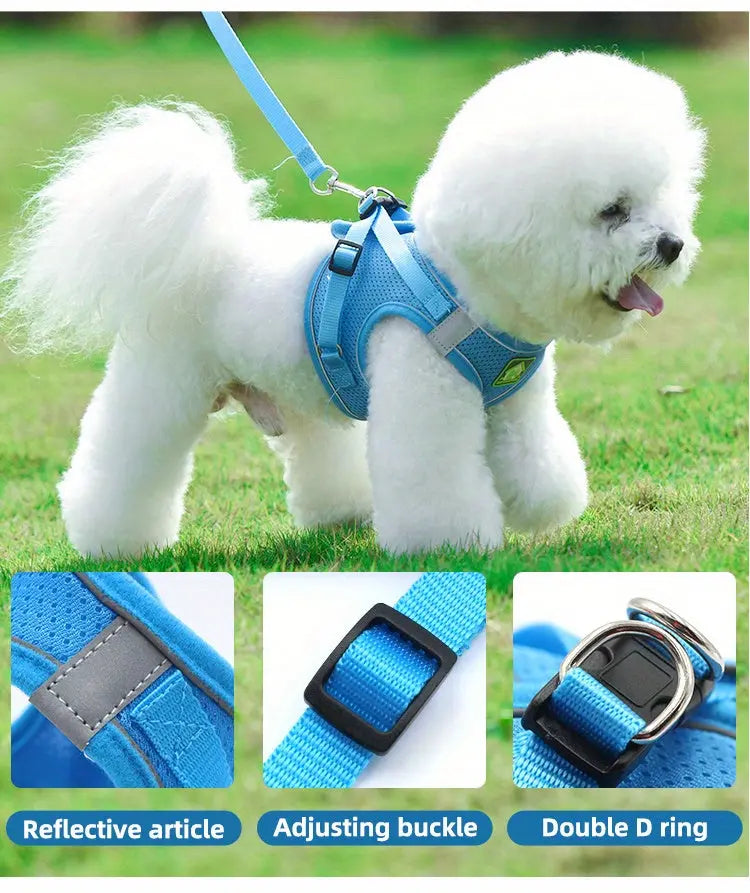 https://img.kwcdn.com/product/1eed513678/5c86de06-4b0a-4d0f-84ec-3479b4d927ac_750x893.jpeg