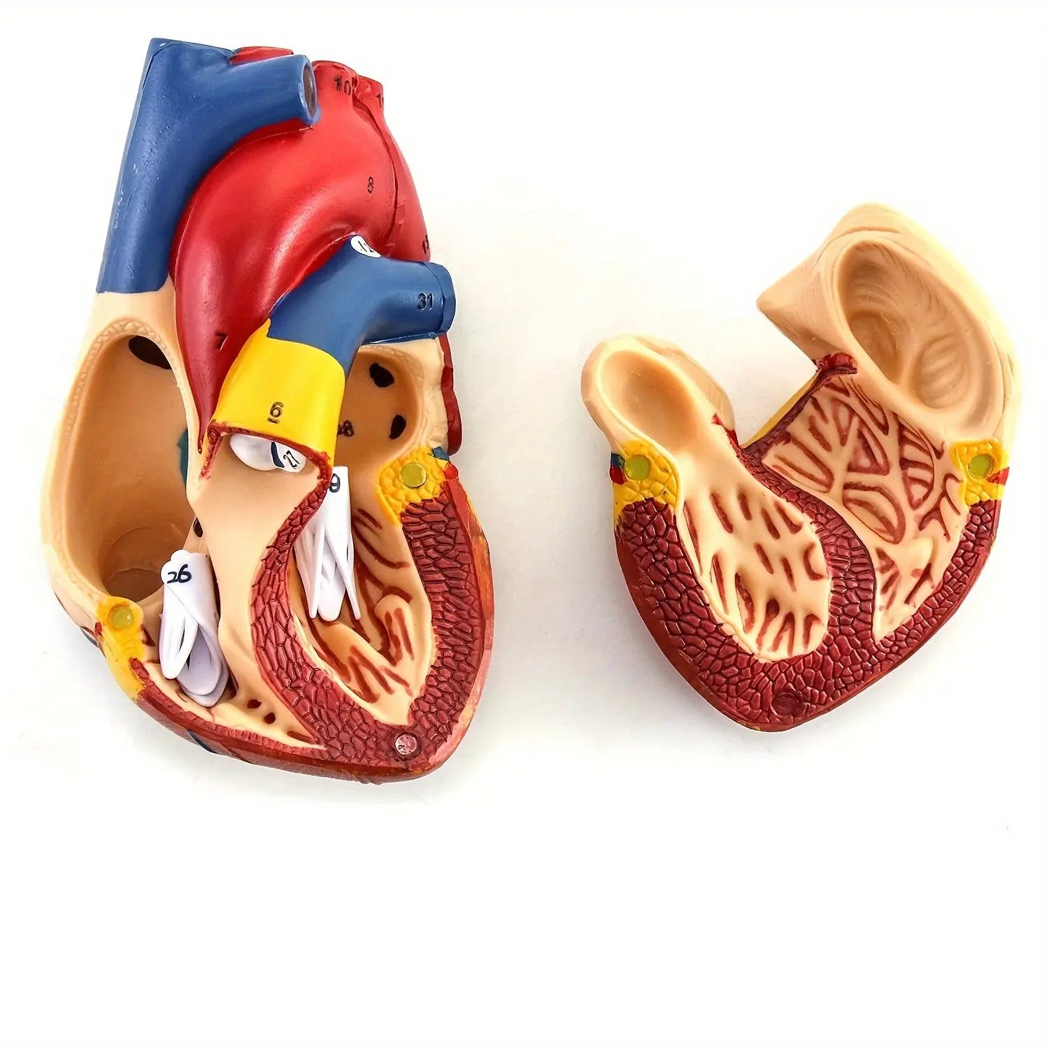 https://img.kwcdn.com/product/open/5d636a80cb554af0be7ef15ed014f896-goods.jpeg