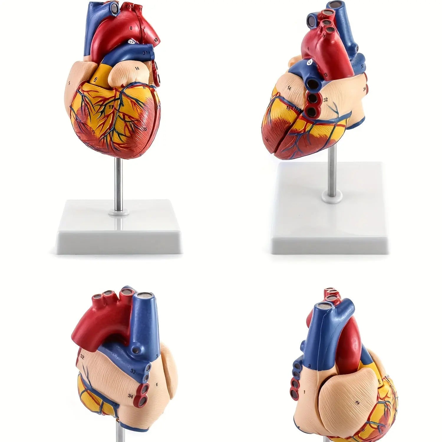 https://img.kwcdn.com/product/open/612d89516461421586ac846d55d573c6-goods.jpeg