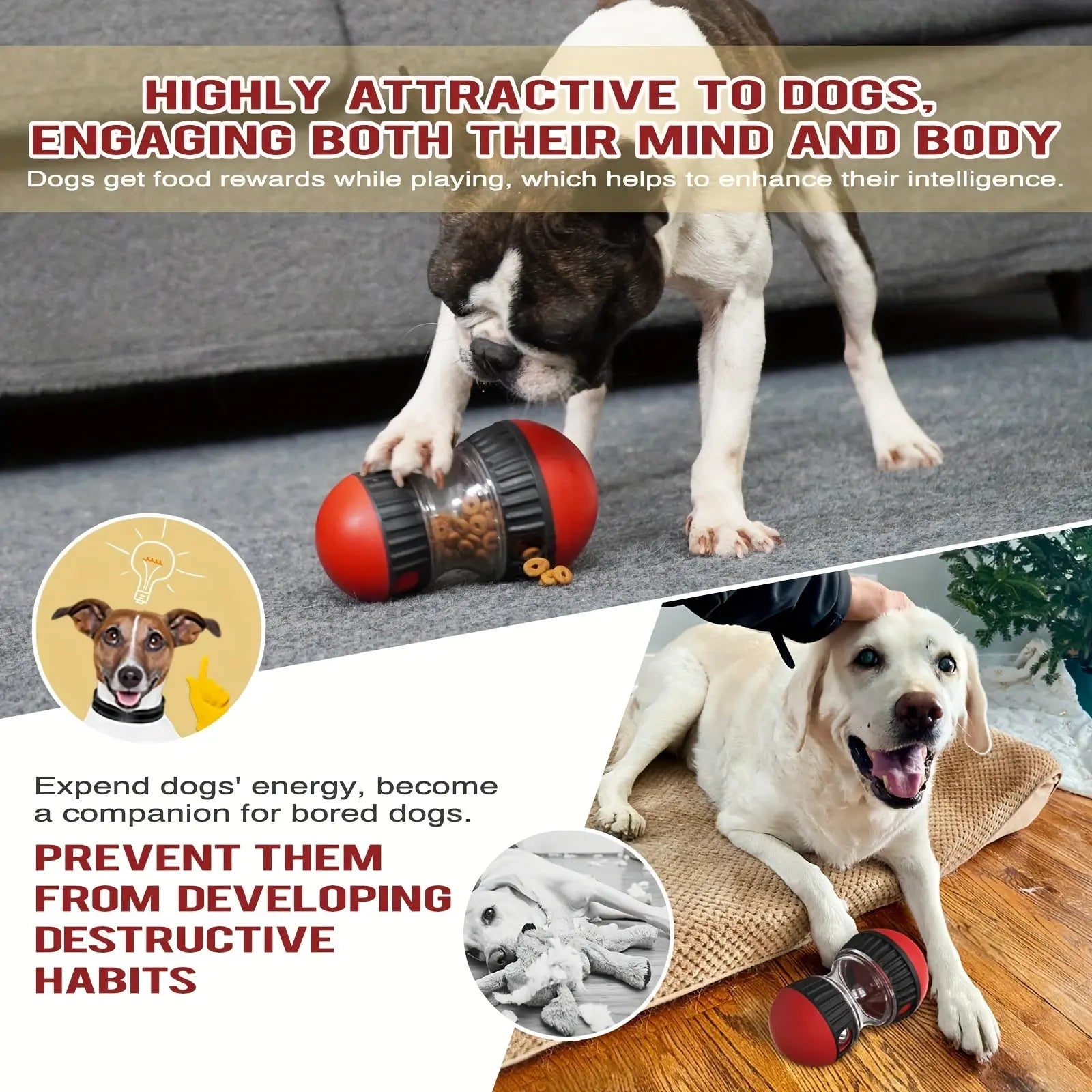https://img.kwcdn.com/product/fancy/61e2f098-9063-4c84-aad2-666c262822b7.jpg