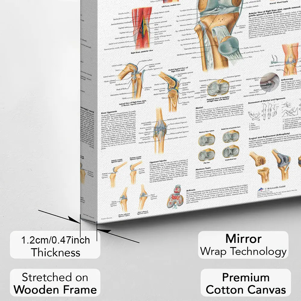 https://img.kwcdn.com/product/open/6c2a3dbe3743448a912aac686c6b6df1-goods.jpeg