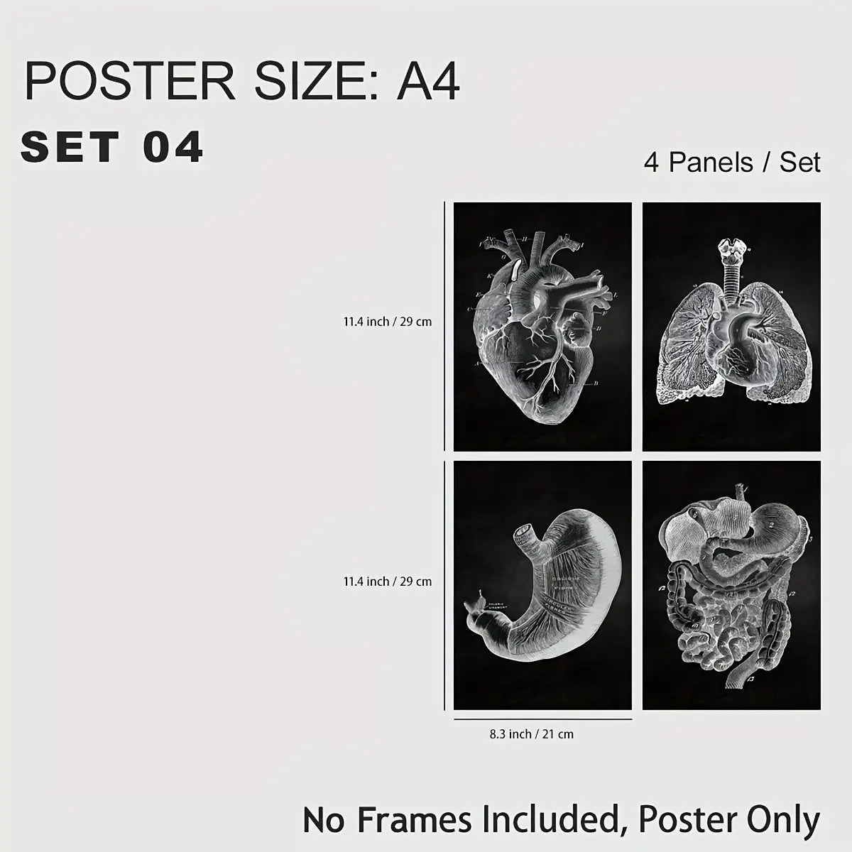 https://img.kwcdn.com/product/fancy/82d22c8a-1fd0-4620-b9d0-9cb5f2d7ee2c.jpg