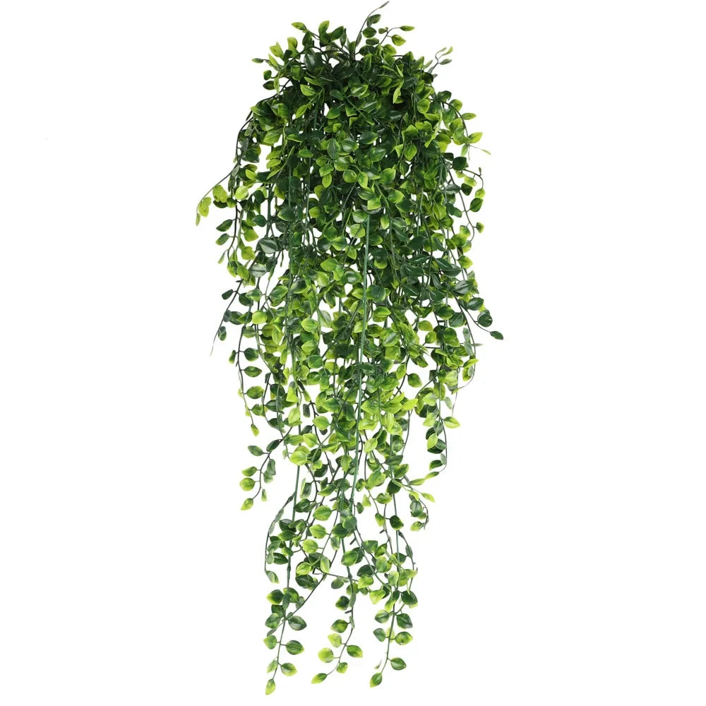 https://ae-pic-a1.aliexpress-media.com/kf/S01dee0a7e158453da62081a7a49401acj.jpg