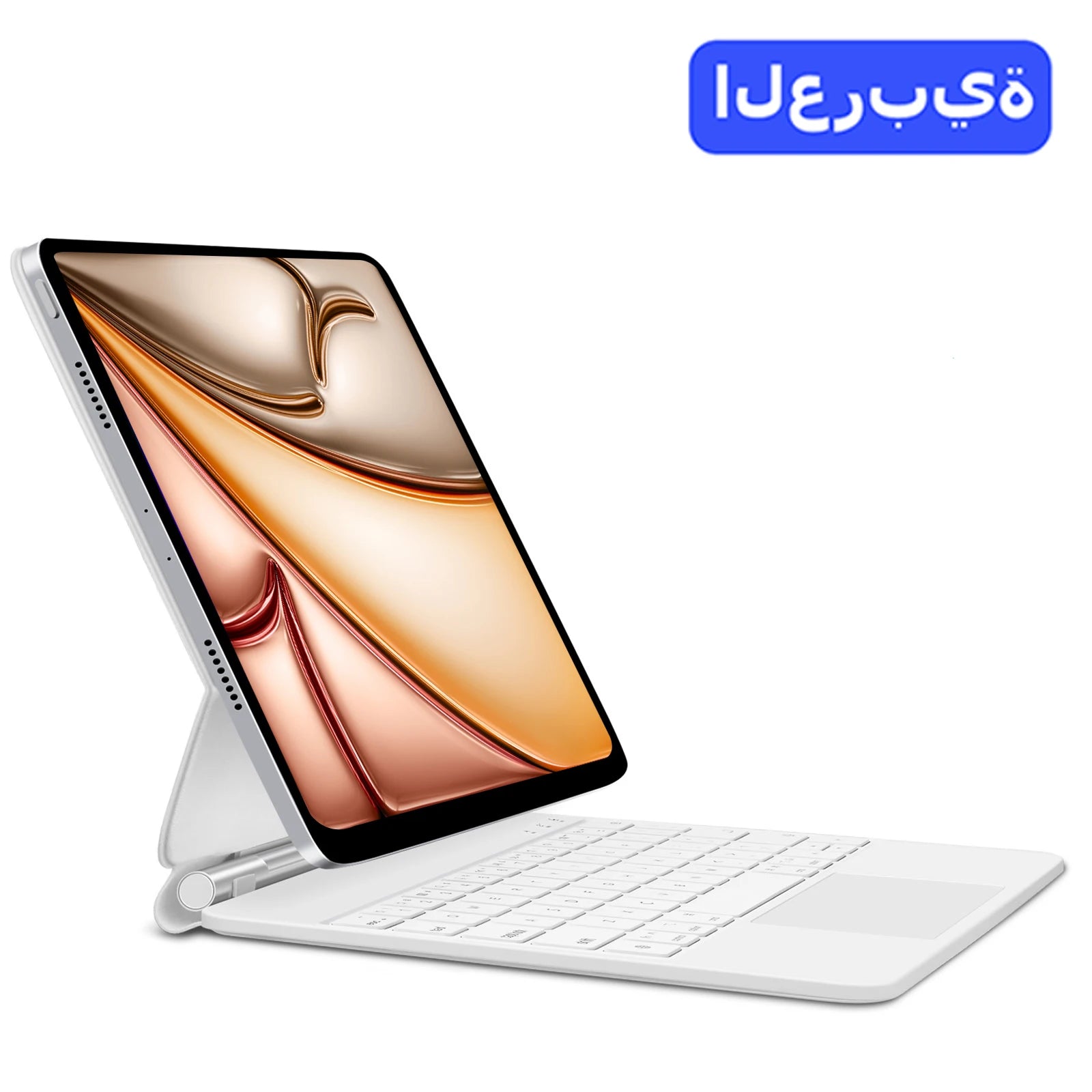 https://ae-pic-a1.aliexpress-media.com/kf/S19cab348e5fc4b109798b6a9ce323ce5H.jpg
