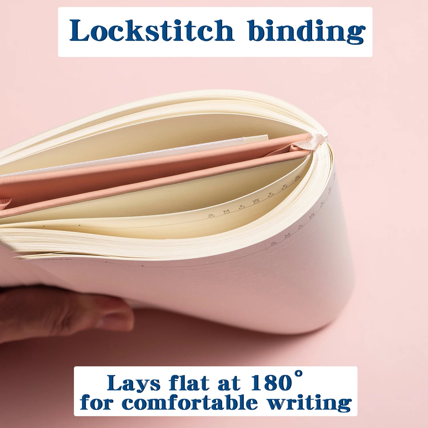 https://ae-pic-a1.aliexpress-media.com/kf/Sa283731329a6467f8c179b6fb612f968q.jpg