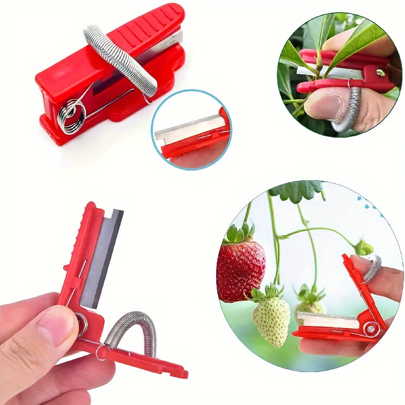 https://img.kwcdn.com/product/fancy/b2f62459-1c0e-46cb-af92-20634d33401e.jpg