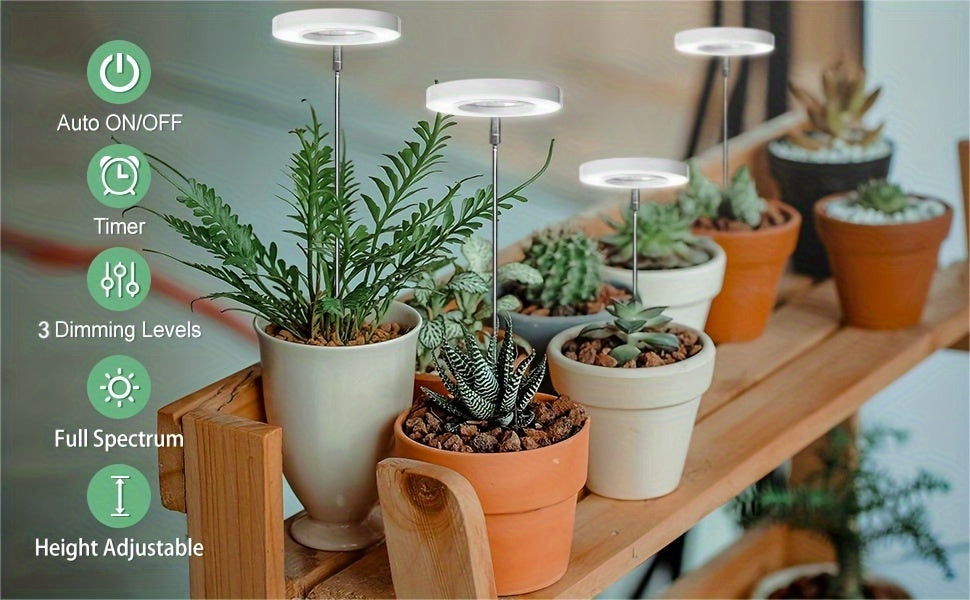 https://img.kwcdn.com/product/fancy/d2d084dd-8a2f-4508-bc10-c9bdcdd94628.jpg