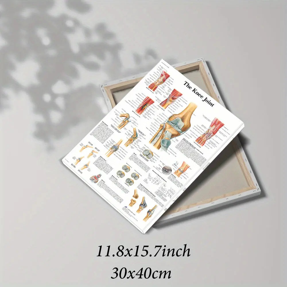 https://img.kwcdn.com/product/open/d2de31be47ef41da91d79c9ca1bf3ab7-goods.jpeg
