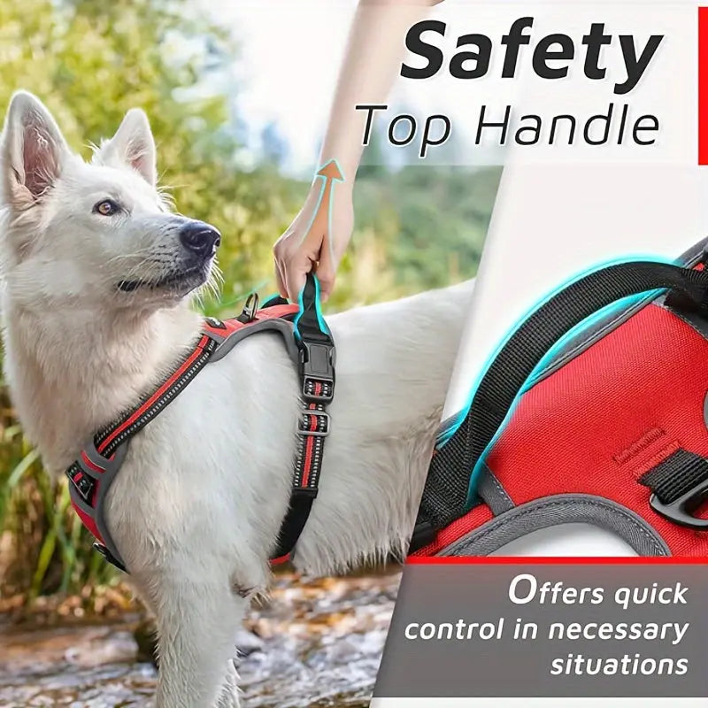 https://img.kwcdn.com/product/fancy/d7cfdce0-cfe6-4da7-b9e9-1d8bcb66a5eb.jpg