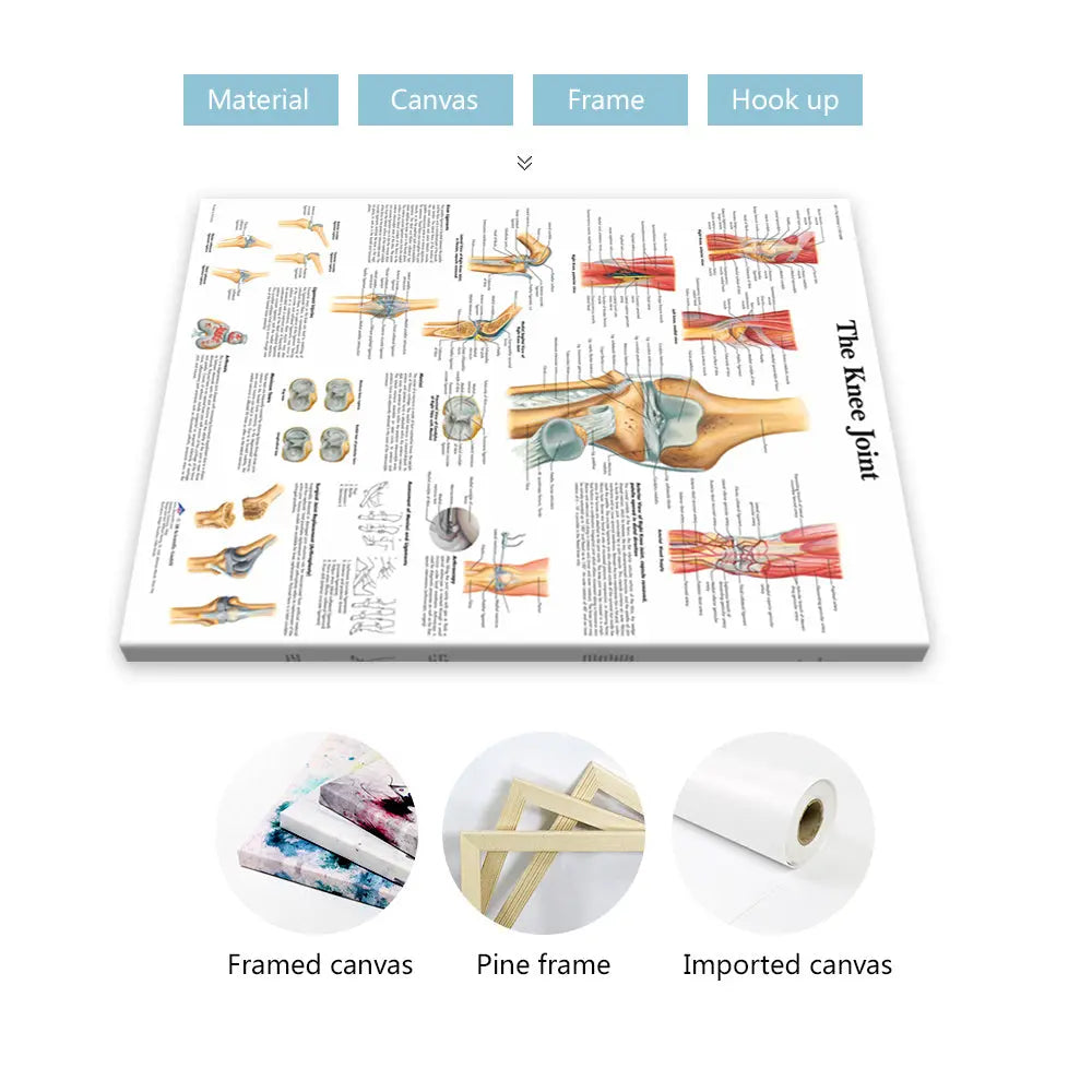https://img.kwcdn.com/product/open/db5e6a4a7e304e30bb457be23105c0af-goods.jpeg