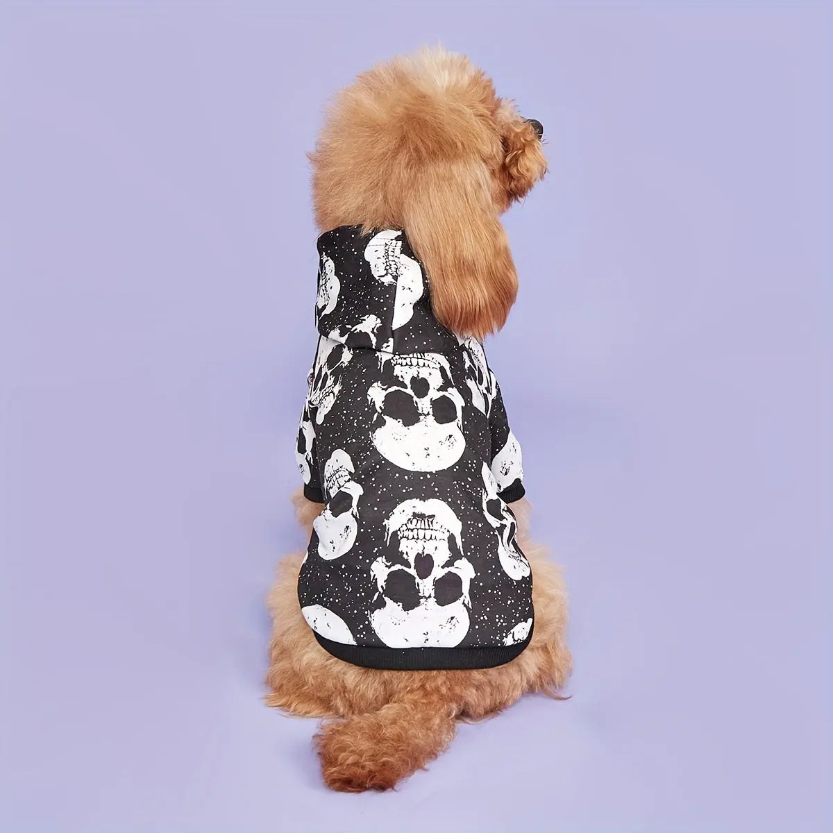 https://img.kwcdn.com/product/fancy/e18d9654-7002-4c04-8f39-7bfea0f514bb.jpg