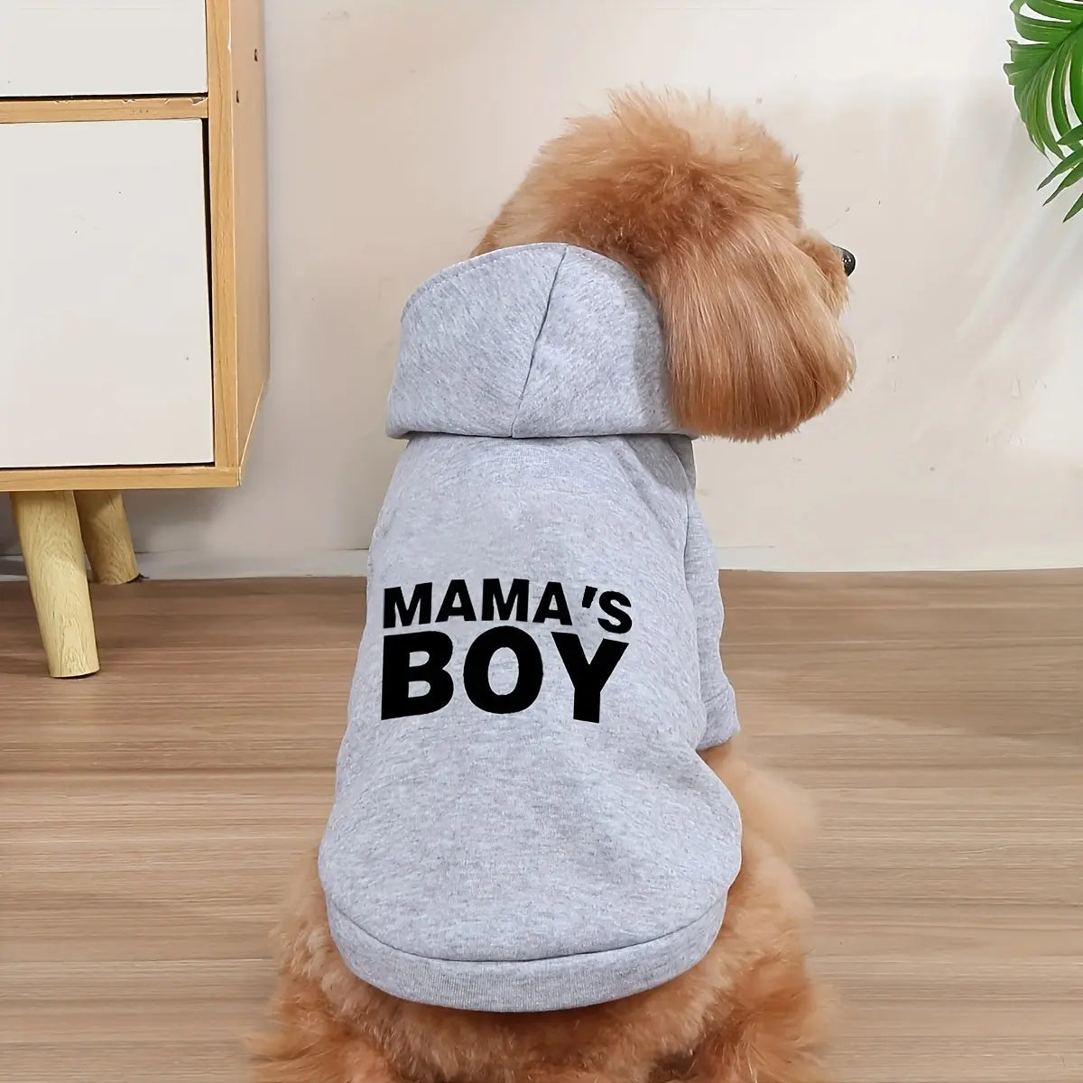 https://img.kwcdn.com/product/fancy/f245377d-6163-4c51-9c10-9638caaae269.jpg