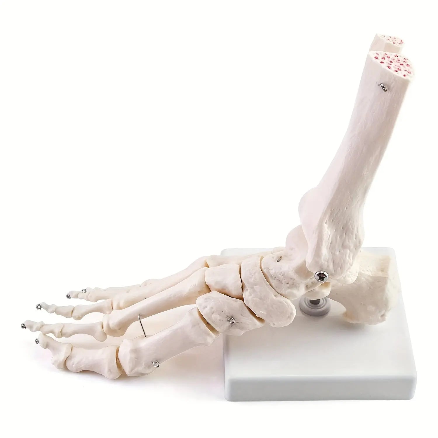 https://img.kwcdn.com/product/fancy/f37fff44-60e7-4184-940f-24f1423cfb2e.jpg