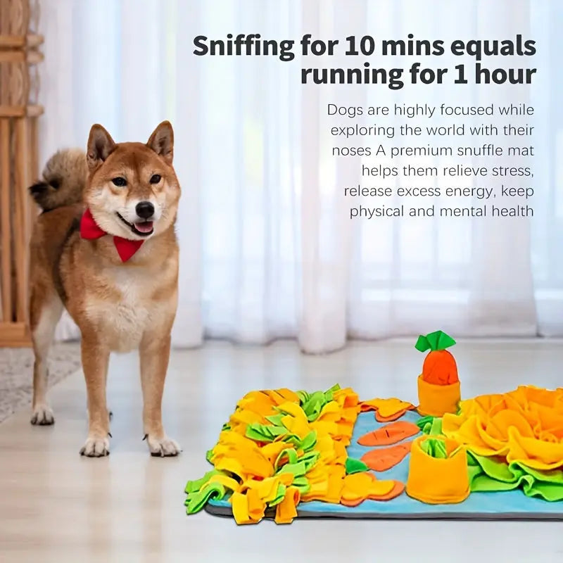 https://img.kwcdn.com/product/fancy/f8c9c436-4ed5-4820-9c33-4fbef4abc6b9.jpg