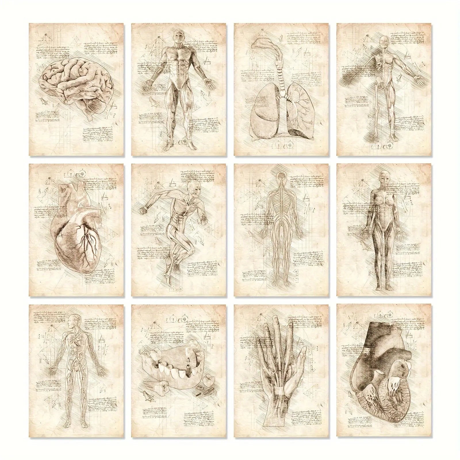 https://img.kwcdn.com/product/fancy/faaef6d4-61cb-4f2a-8ef7-1312666a261e.jpg