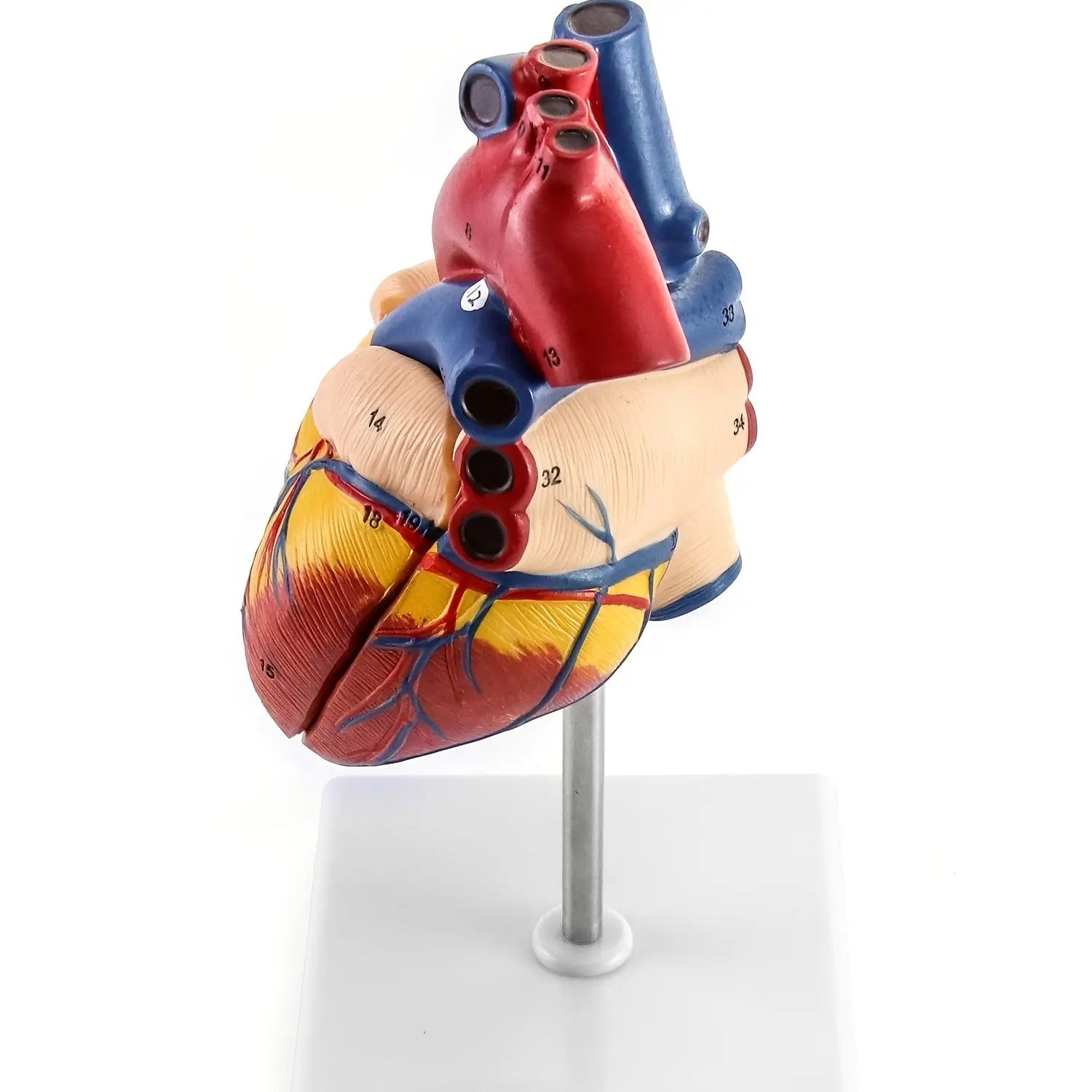 https://img.kwcdn.com/product/open/fc251ae18a37475e913d8df43e184b1b-goods.jpeg