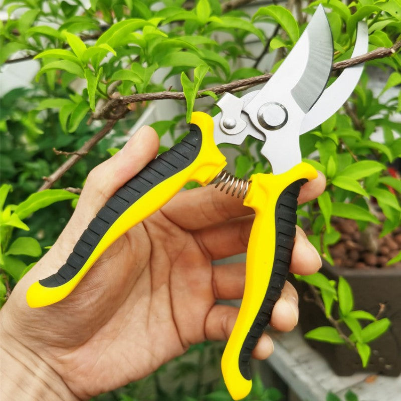 https://img.kwcdn.com/product/1d65865a90/ff22a8b6-d637-4af1-844b-c74c215e6805_800x800.jpeg