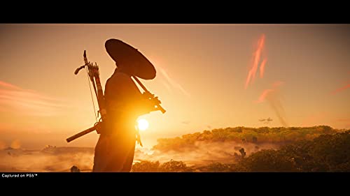 Ghost of Tsushima Director's Cut PS5 | Videojuego Original de Playstation Sony Intereactive Entertainment - Configurable en Japonés, Español, Portugués o Inglés - La zona Apple