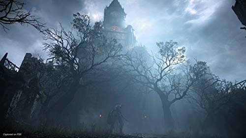 Playstation Demon's Souls - La zona Apple
